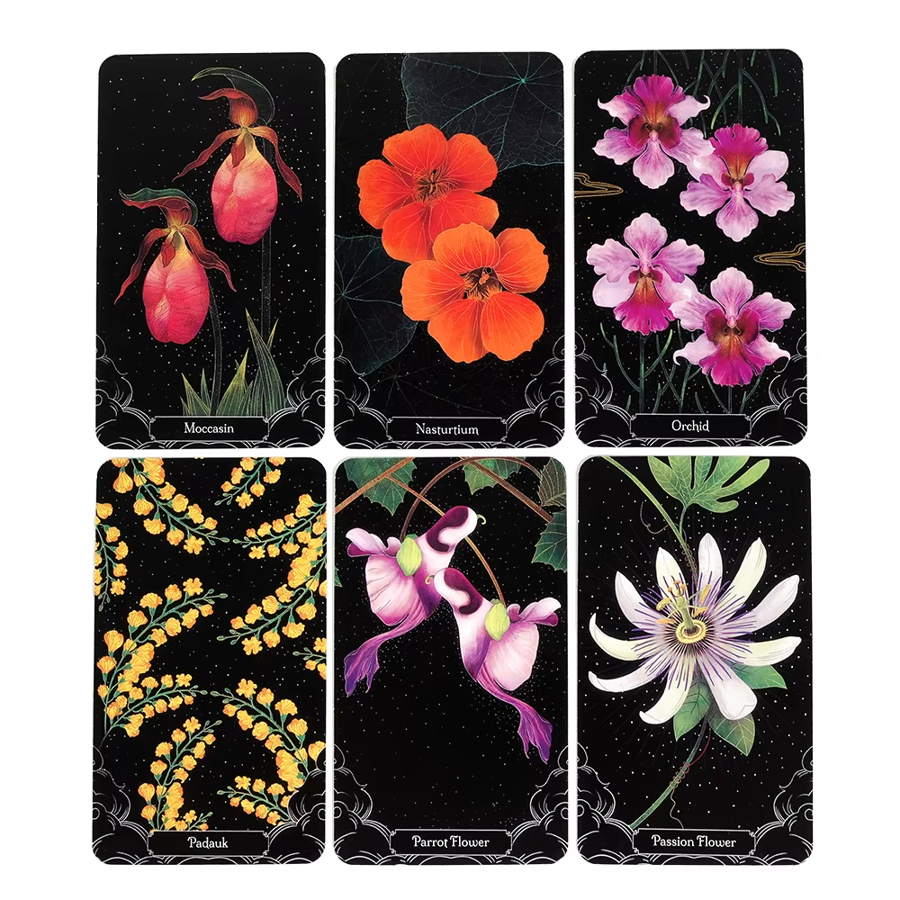 A Little Rain Botanical Oracle - Graded Card Display recensione e prezzo